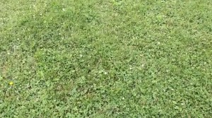 Field3-City-of-Stoughton